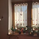 Ξενοδοχείο Al Pelmo Wellness