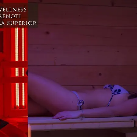 Ξενοδοχείο Al Pelmo Wellness 3*